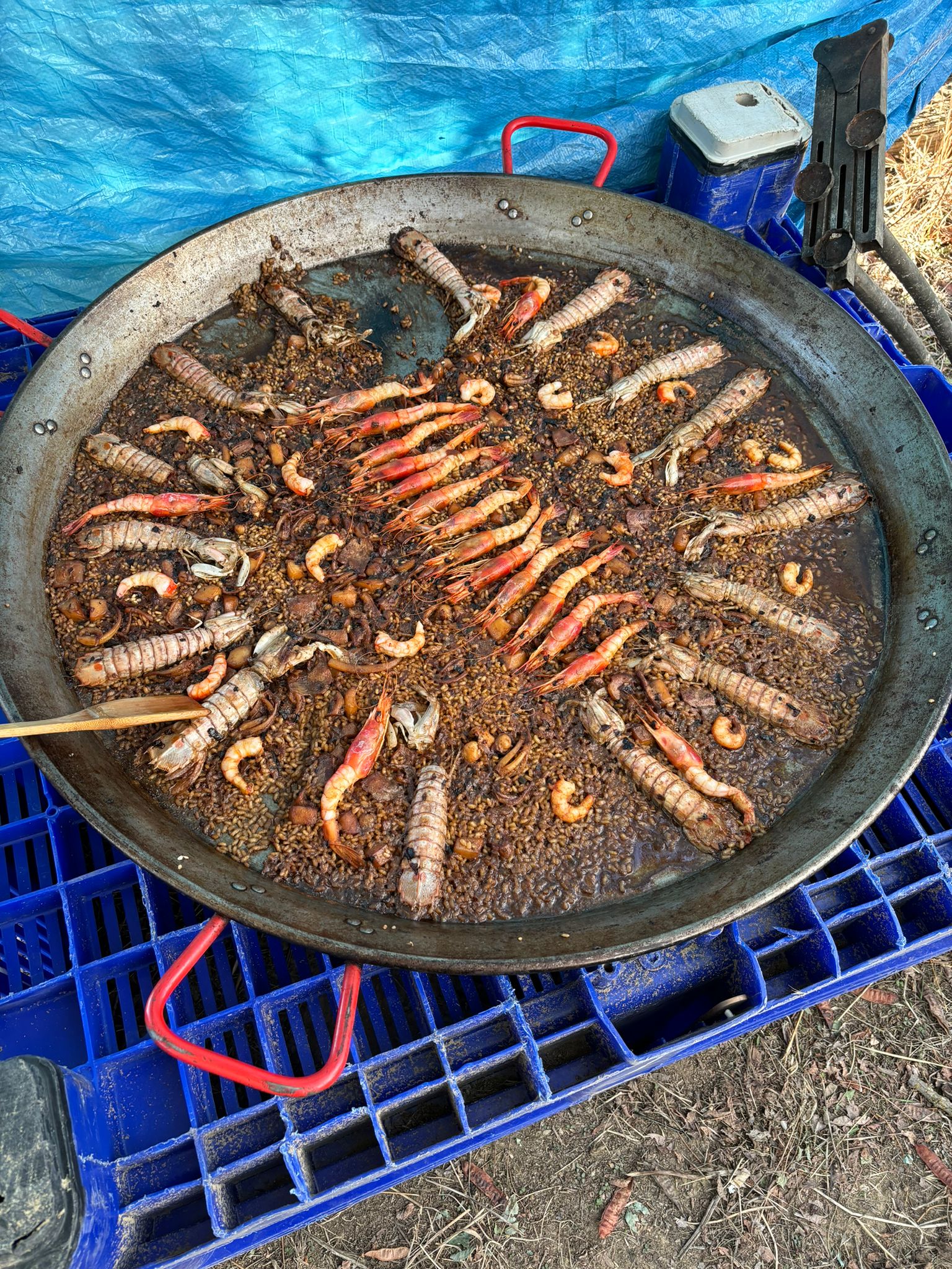 Concurs de paelles de Torres de Sanuy