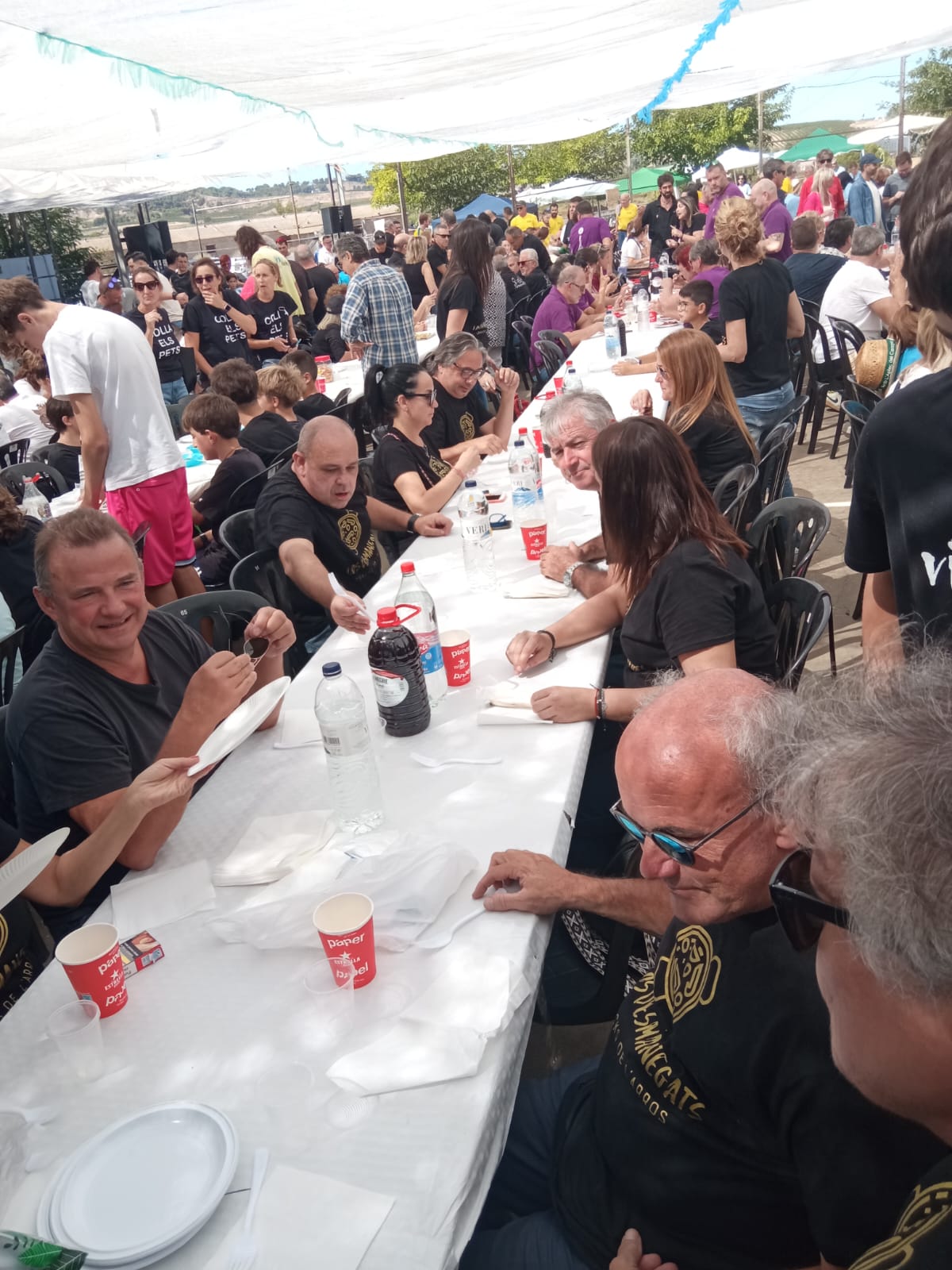 Concurs de paelles de Torres de Sanuy