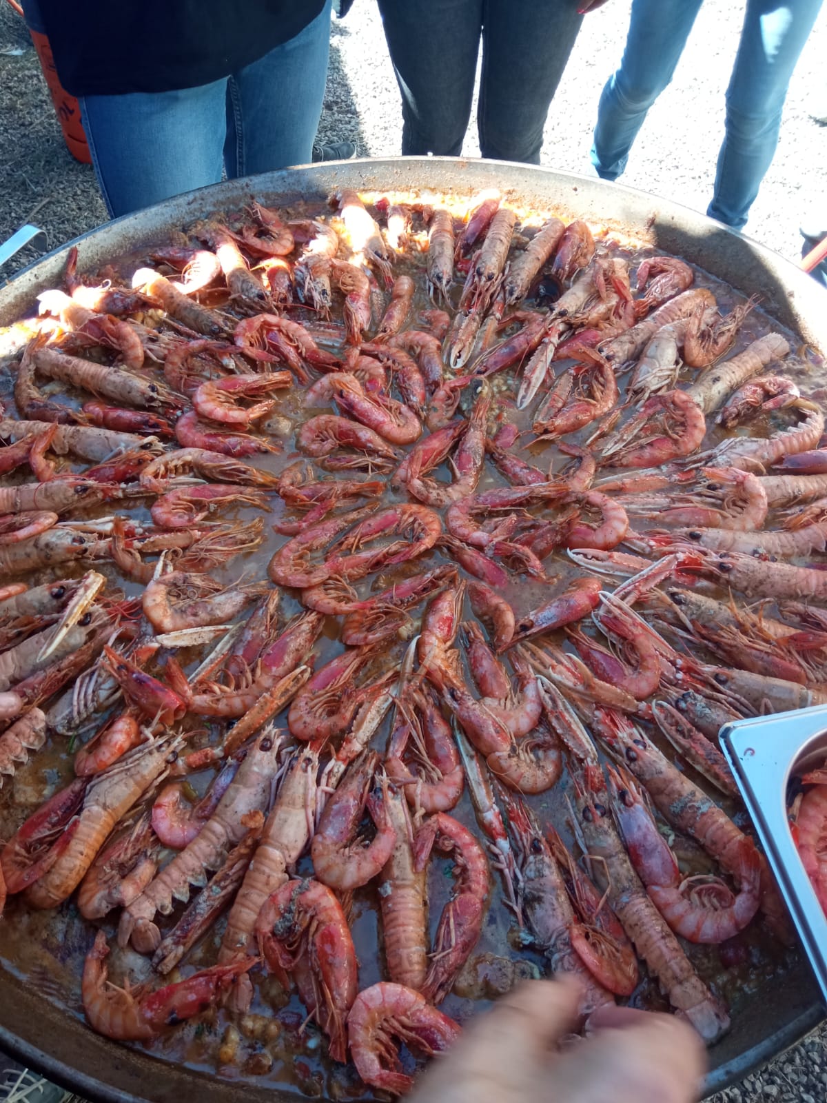 Concurs de paelles de Torres de Sanuy